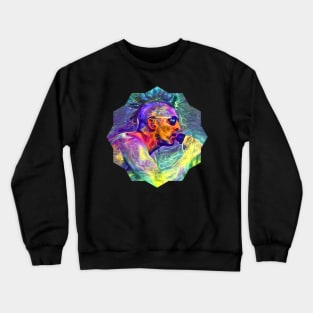 Pneuma Crewneck Sweatshirt